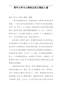 青年大学习心得体会范文精选4篇