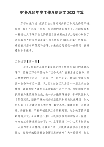 财务总监年度工作总结范文2023年篇