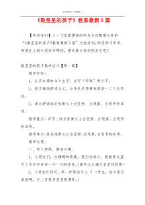 《数星星的孩子》教案最新5篇