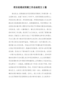 项目经理试用期工作总结范文2篇