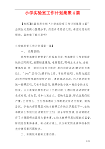 小学实验室工作计划集聚4篇