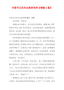 市委书记发布会致辞范例【精编4篇】