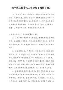 大学班主任个人工作计划【精编5篇】