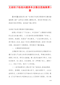 支部班子检视问题清单及整改措施集聚3篇
