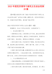 2023年度党员领导干部民主生活会范例20篇