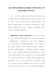 2023年新时代推动东北全面振兴心得体会研讨心得体会发言稿1290字范文