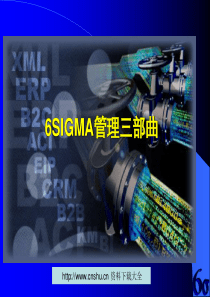368113--6SIGMA管理三部曲--cqz0794