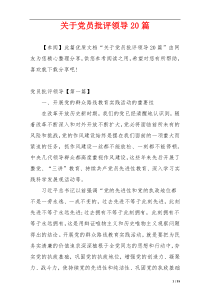 关于党员批评领导20篇