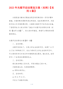 2023年光棍节活动策划方案（实例）【实用4篇】