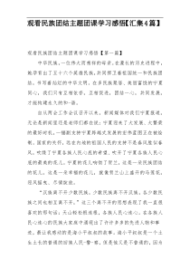 观看民族团结主题团课学习感悟【汇集4篇】