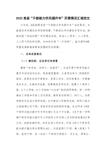 2023某县“干部能力作风提升年”开展情况汇报范文