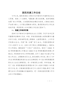 医院2023年党建工作总结