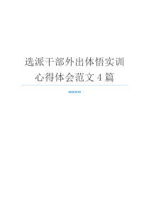 选派干部外出体悟实训心得体会范文4篇