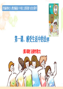1.感受生活中的法律（课时3：法律作用大）课件（配教案）