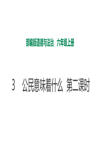 3公民意味着什么  第二课时 课件 (7)