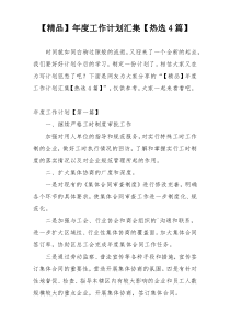 【精品】年度工作计划汇集【热选4篇】