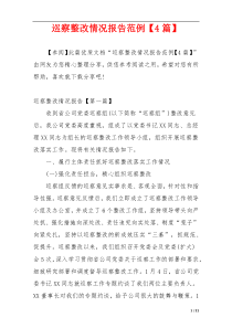 巡察整改情况报告范例【4篇】