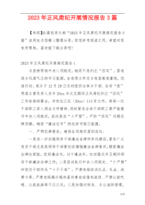2023年正风肃纪开展情况报告3篇