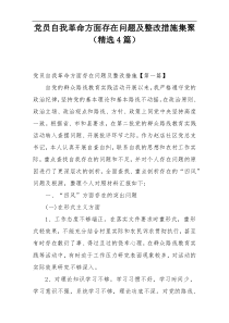 党员自我革命方面存在问题及整改措施集聚（精选4篇）