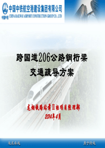 206S疏导方案11