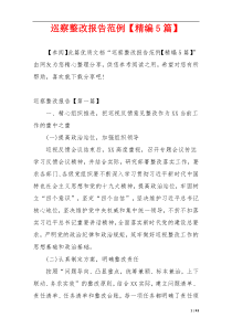 巡察整改报告范例【精编5篇】
