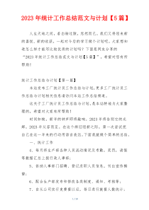 2023年统计工作总结范文与计划【5篇】