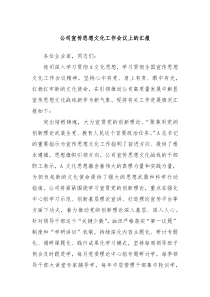 公司宣传思想文化工作会议上的汇报