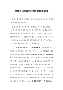 开展基层负担问题专项治理工作情况汇报范文