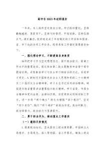 副市长2023年述职报告