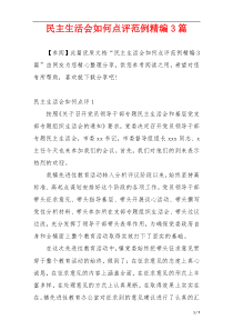 民主生活会如何点评范例精编3篇