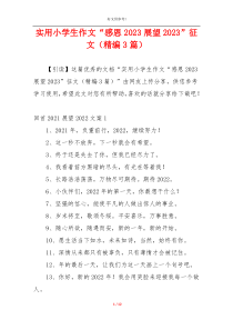 实用小学生作文“感恩2023展望2023”征文（精编3篇）