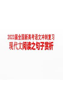 2023届全国新高考语文冲刺复习：现代文阅读之句子赏析(共52张PPT)