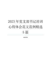 2023年党支部书记培训心得体会范文范例精选5篇