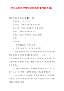 团支部委员会会议记录范例【精编4篇】