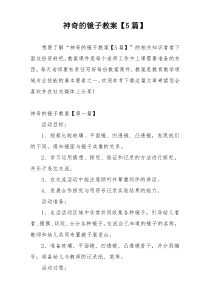 神奇的镜子教案【5篇】
