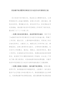 某县数字政府暨项目建设百日攻坚行动开展情况汇报
