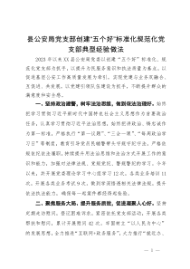县公安局党支部创建“五个好”标准化规范化党支部典型经验做法
