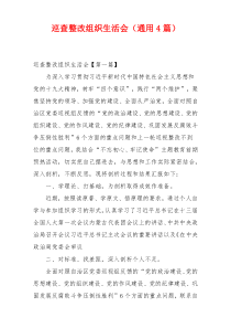巡查整改组织生活会（通用4篇）