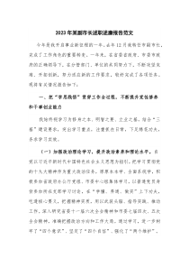 2023年某副市长述职述廉报告范文