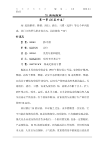 5S实施指南内容