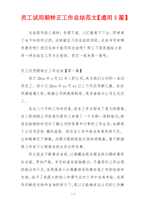 员工试用期转正工作总结范文【通用5篇】