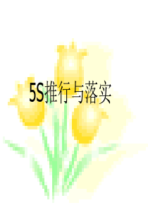 5S推行及落实