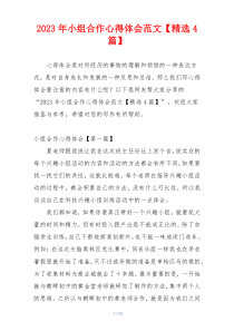 2023年小组合作心得体会范文【精选4篇】