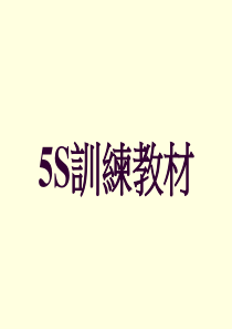 5S新