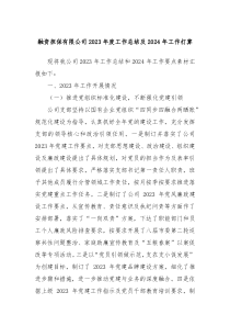 融资担保有限公司2023年度工作总结及2024年工作打算