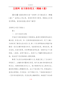 互联网 实习报告范文（精编3篇）