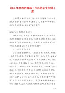 2023年自然资源局工作总结范文范例4篇