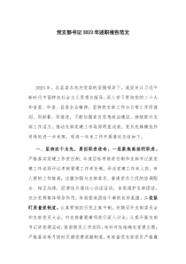 党支部书记2023年述职报告范文