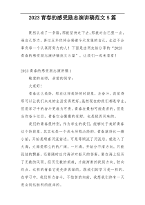 2023青春的感受励志演讲稿范文5篇