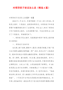 对领导班子谈话怎么说（精选4篇）